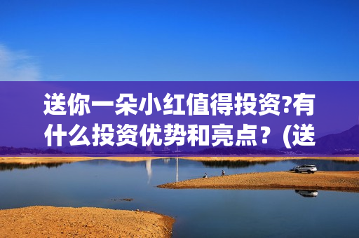 送你一朵小红值得投资?有什么投资优势和亮点？(送你一朵小红内容)