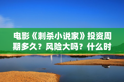 电影《刺杀小说家》投资周期多久？风险大吗？什么时候分红？ (电影《刺杀小说家》)