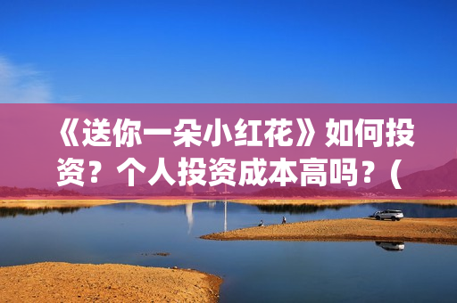 《送你一朵小红花》如何投资？个人投资成本高吗？(送你一朵小红花演员表)