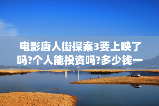 电影唐人街探案3要上映了吗?个人能投资吗?多少钱一份?(电影唐人街探案演员表)