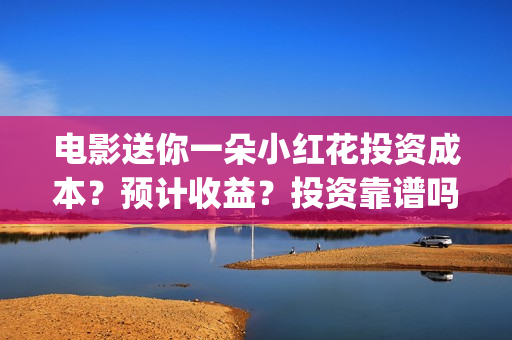 电影送你一朵小红花投资成本？预计收益？投资靠谱吗？(电影送你一朵小红花演员表)