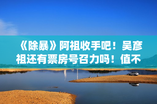 《除暴》阿祖收手吧！吴彦祖还有票房号召力吗！值不值得投资？(除暴原版)