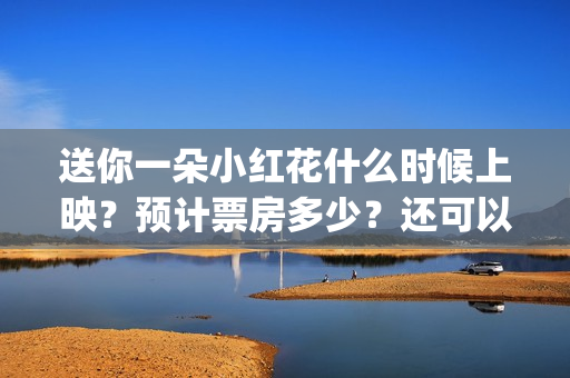 送你一朵小红花什么时候上映？预计票房多少？还可以投资吗？(送你一朵小红花歌词)