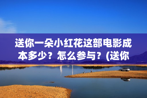 送你一朵小红花这部电影成本多少？怎么参与？(送你一朵小红花电影)