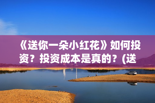 《送你一朵小红花》如何投资？投资成本是真的？(送你一朵小红花原唱)