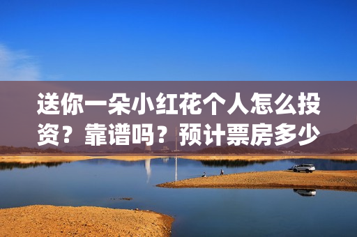 送你一朵小红花个人怎么投资？靠谱吗？预计票房多少？(送你一朵小红花原唱)