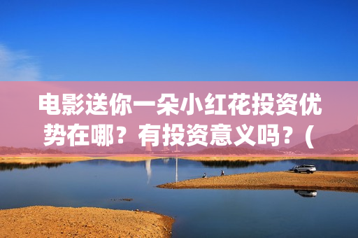 电影送你一朵小红花投资优势在哪？有投资意义吗？(电影送你一朵小红花观后感)