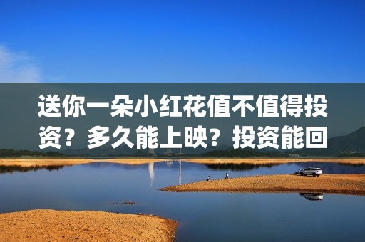 送你一朵小红花值不值得投资？多久能上映？投资能回本吗？(送你一朵小红花电影)