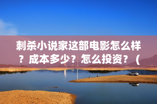 刺杀小说家这部电影怎么样？成本多少？怎么投资？ (刺杀小说家这部电影好看吗)