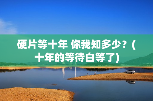 硬片等十年 你我知多少？(十年的等待白等了)