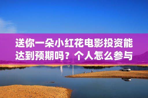 送你一朵小红花电影投资能达到预期吗？个人怎么参与(送你一朵小红花电影)