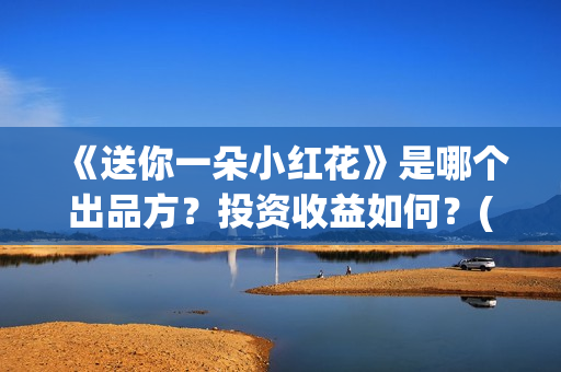 《送你一朵小红花》是哪个出品方？投资收益如何？(送你一朵小红花演员表)