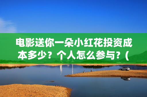 电影送你一朵小红花投资成本多少？个人怎么参与？(电影送你一朵小红花讲述的主题是抗癌吗)