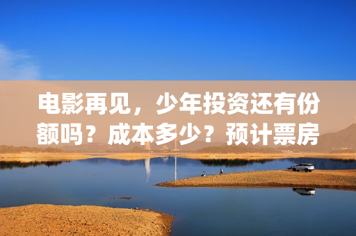 电影再见，少年投资还有份额吗？成本多少？预计票房？(电影再见少年票房)