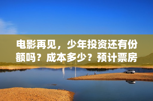 电影再见，少年投资还有份额吗？成本多少？预计票房？(电影再见少年剧情详细)