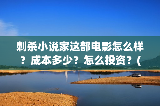 刺杀小说家这部电影怎么样？成本多少？怎么投资？(刺杀小说家说的是)