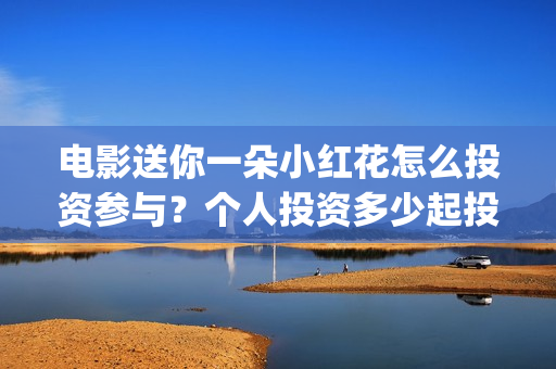 电影送你一朵小红花怎么投资参与？个人投资多少起投？(电影送你一朵小红花简介)