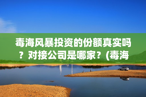 毒海风暴投资的份额真实吗？对接公司是哪家？(毒海风暴上映时间)