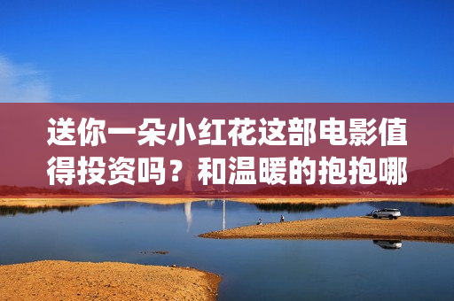 送你一朵小红花这部电影值得投资吗？和温暖的抱抱哪个好？(送你一朵小红花原唱)