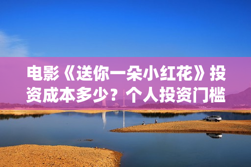 电影《送你一朵小红花》投资成本多少？个人投资门槛高吗？怎么参与？(电影《送你一朵花》完整版)