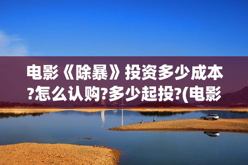电影《除暴》投资多少成本?怎么认购?多少起投?(电影除暴咋样)