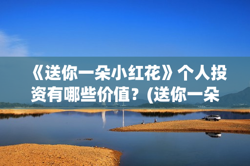 《送你一朵小红花》个人投资有哪些价值？(送你一朵小红花歌词表达什么意思)