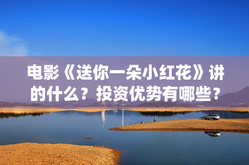 电影《送你一朵小红花》讲的什么？投资优势有哪些？(电影送你一朵小红花完整版免费观看)