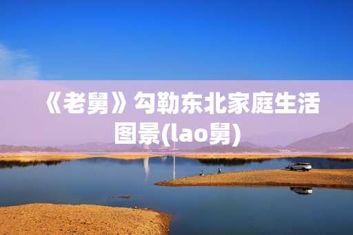 《老舅》勾勒东北家庭生活图景(lao舅)