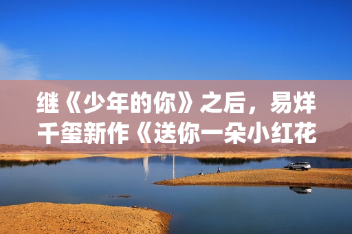 继《少年的你》之后，易烊千玺新作《送你一朵小红花》欢迎咨询(少年的你后续)