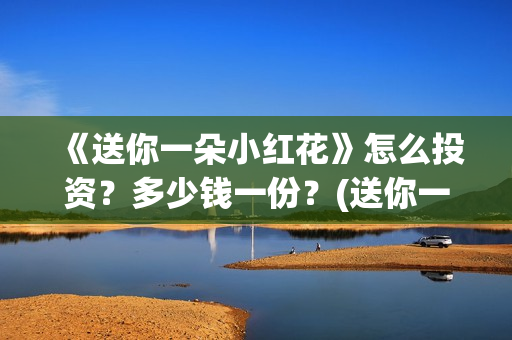 《送你一朵小红花》怎么投资？多少钱一份？(送你一朵小红花免费观看完整版)
