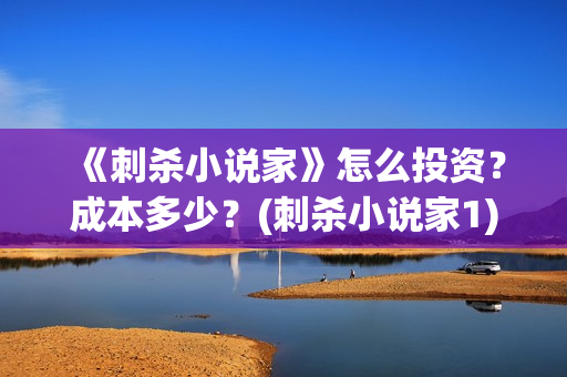 《刺杀小说家》怎么投资？成本多少？(刺杀小说家1)