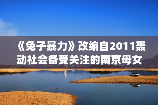 《兔子暴力》改编自2011轰动社会备受关注的南京母女绑架杀人案(兔子暴力原型故事结局)