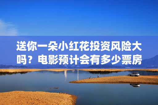送你一朵小红花投资风险大吗？电影预计会有多少票房？(送你一朵小红花电影)