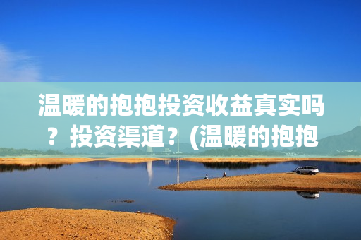 温暖的抱抱投资收益真实吗？投资渠道？(温暖的抱抱投资金额)