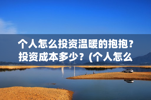 个人怎么投资温暖的抱抱？投资成本多少？(个人怎么投资温州银行)