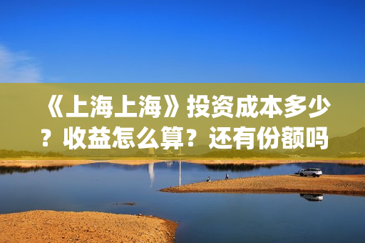 《上海上海》投资成本多少？收益怎么算？还有份额吗？(电影上海上海投资)
