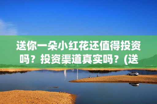 送你一朵小红花还值得投资吗？投资渠道真实吗？(送你一朵小红花原唱)
