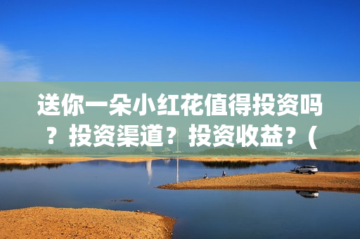 送你一朵小红花值得投资吗？投资渠道？投资收益？(送你一朵小红花 歌曲)