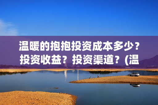 温暖的抱抱投资成本多少？投资收益？投资渠道？(温暖的抱抱投资会血本无归吗)