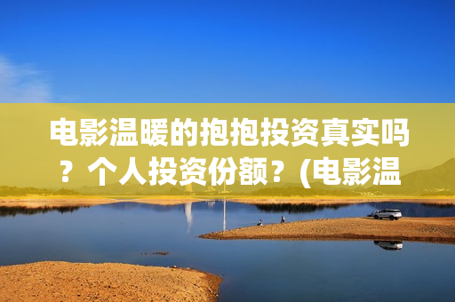 电影温暖的抱抱投资真实吗？个人投资份额？(电影温暖的抱抱在线观看)