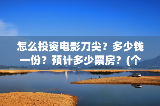 怎么投资电影刀尖？多少钱一份？预计多少票房？(个人怎么投资电影渠道)