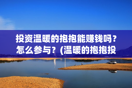 投资温暖的抱抱能赚钱吗？怎么参与？(温暖的抱抱投资额)