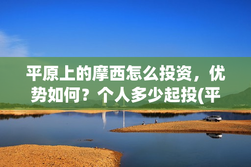 平原上的摩西怎么投资，优势如何？个人多少起投(平原上的摩西怎么破案的)