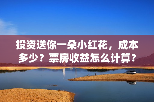 投资送你一朵小红花，成本多少？票房收益怎么计算？(投资送你一朵小红花)