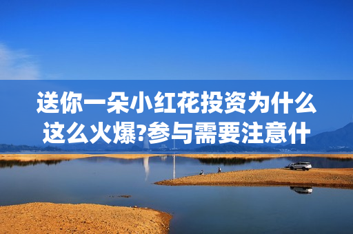 送你一朵小红花投资为什么这么火爆?参与需要注意什么(送你一朵小红花电影剧情介绍)