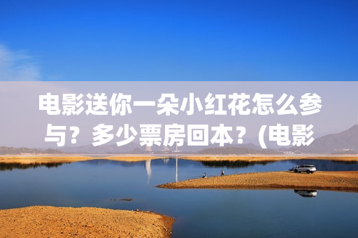 电影送你一朵小红花怎么参与？多少票房回本？(电影送你一朵小红花讲述的主题是抗癌吗)