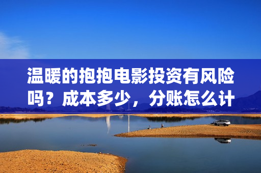 温暖的抱抱电影投资有风险吗？成本多少，分账怎么计算(温暖的抱抱电影歌曲)