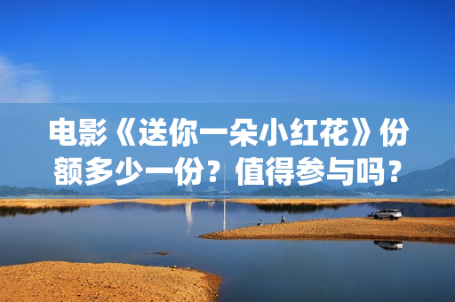 电影《送你一朵小红花》份额多少一份？值得参与吗？(电影送你一朵小花)