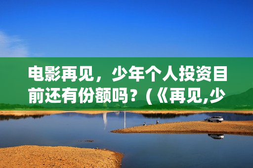 电影再见，少年个人投资目前还有份额吗？(《再见,少年》)