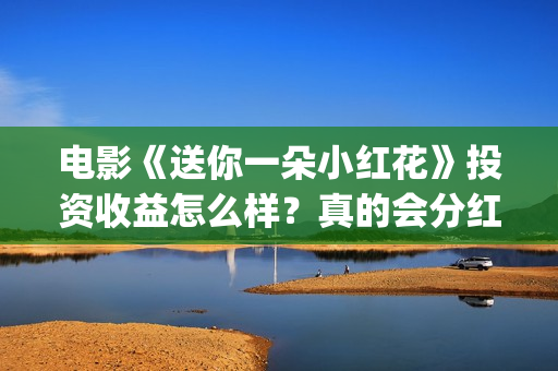 电影《送你一朵小红花》投资收益怎么样？真的会分红到个人吗？(电影《送你一朵小红花》)